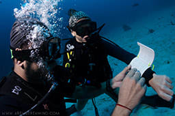rescue diver course