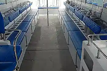 interior Blue Marlin