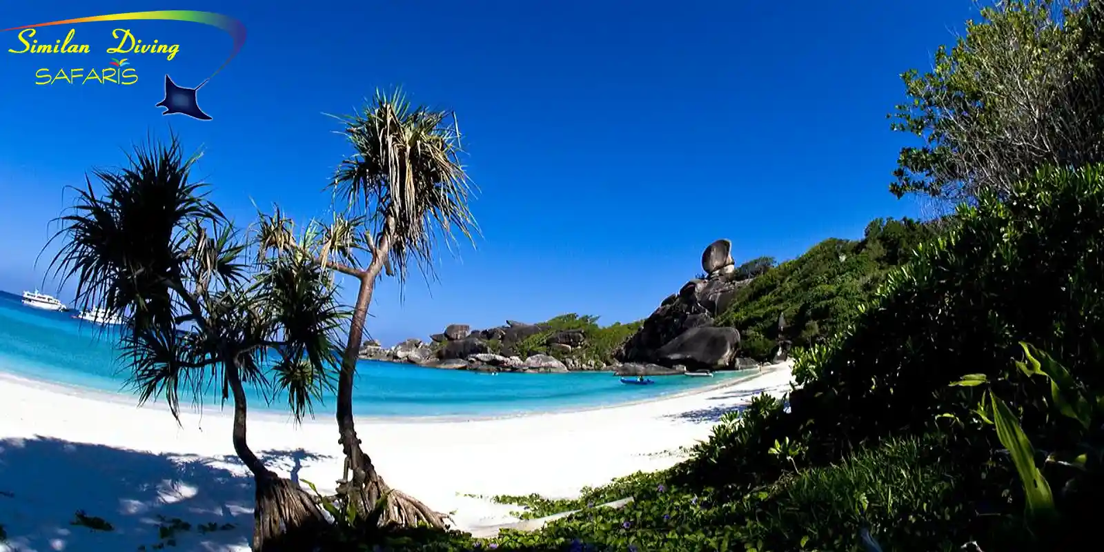 beach Similan island 8